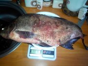 2014608153944.jpg