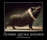 1358455224_demi_s_jivotnimi_7659-7.jpg