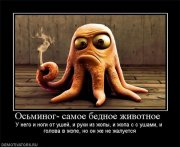 осьминог.jpeg