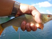 DSC02390.JPG