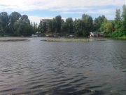 IMG_20140615_170717.jpg