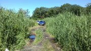 CAM00650.jpg
