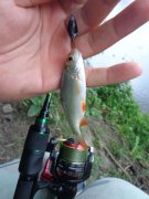 DSC02432.JPG