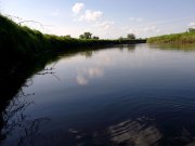 DSCF3822.JPG