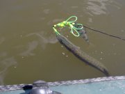 DSCF3810.JPG