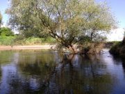 DSCF3816.JPG