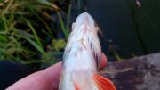 IMG_20140627_200604.jpg
