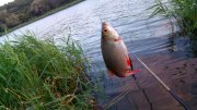 IMG_20140627_201022.jpg