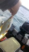 IMG_20140628_105815.jpg