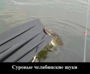 getImage.jpg