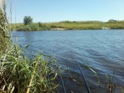 P01-07-14_09.17.jpg