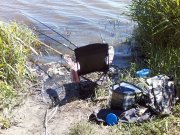 P01-07-14_09.42.jpg