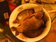 DSC00029.JPG
