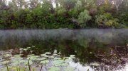 IMG_20140616_053909.jpg