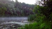 IMG_20140616_053923.jpg