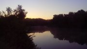 IMG_20140624_044650.jpg