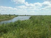 P05-07-14_13.40.jpg