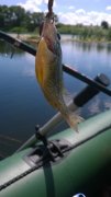 WP_20140705_007.jpg