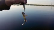 IMG_20140710_061953.jpg