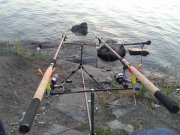 20140711_050834.jpg