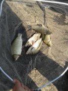 20140711_104726.jpg