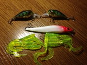 IMG_0928.JPG