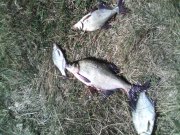 IMG_20140721_093840_0.jpg