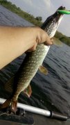 IMG_20140723_161509.jpg