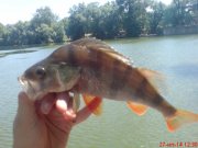DSC01553.JPG