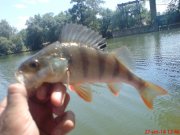 DSC01555.JPG