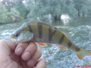 DSC01569.JPG