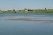 07293964.JPG