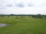 DSC02506.JPG