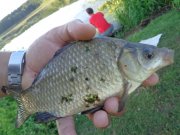 DSC02510.JPG