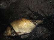 DSCF0508.JPG