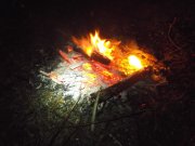 DSCF0510.JPG