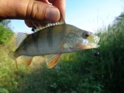 DSC02553.JPG