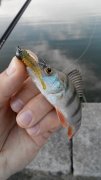 20140803064505.jpg