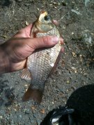IMG_0394.JPG