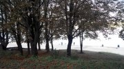 20140810072525.jpg