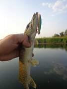 DSC02585.JPG