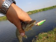 DSC02576.JPG