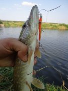 DSC02580.JPG