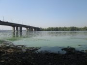IMG_0531.JPG