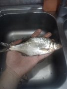 IMG_20140817_201145.jpg