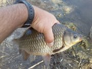 P26-08-14_17.41.jpg
