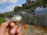 DSC02622.JPG