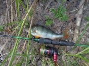 DSC02624.JPG