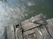 DSC02004.JPG