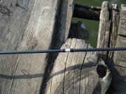 DSC02033.JPG